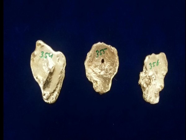 A total of 1.32 kilograms of gold worth Rs 60 lakh seized at the Chennai International Airport on Tuesday. Photo/ANI