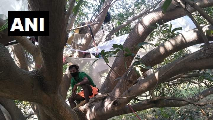 People in West Bengal's Balarampur quarantined themselves on a tree (Photo/ANI)