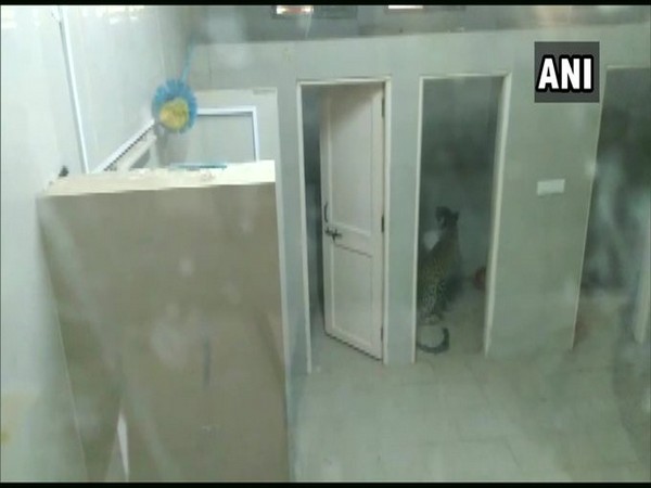 A leopard entered one of the washrooms in Ayurveda Hospital, Gandhinagar on Wednesday.