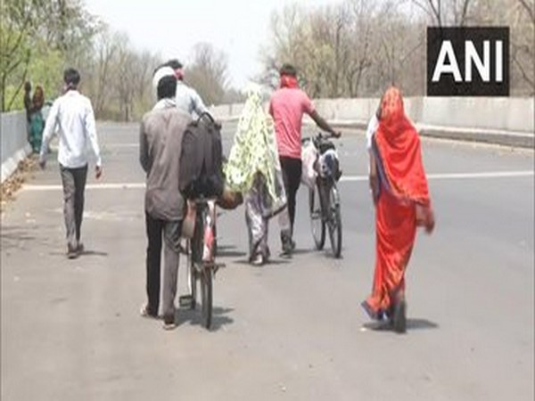 Migrant labourers in Maharashtra take long walk back home. Photo/ANI