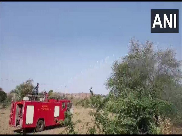 Fire brigades in Ajmer spraying pesticides on trees to control the swarm attack. (Photo/ANI)