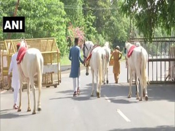 Horses take to the streets in Bhopal amid lockdown on Monday (Photo/ANI)