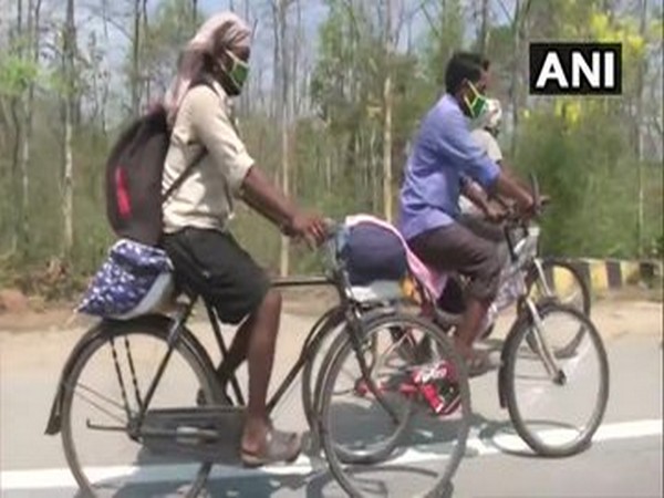 Migrant workers leave Maharashtra for their native places on bicycles. 