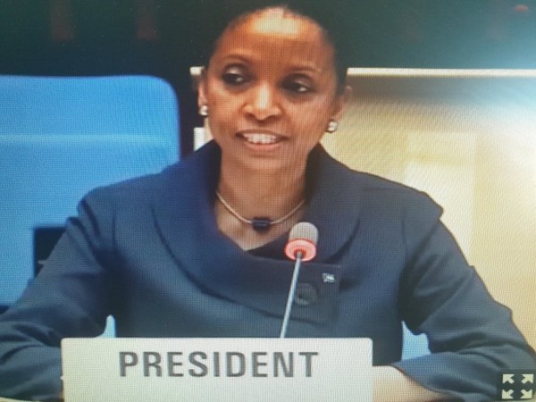Keva Bain, Bahamas' Permanent Representative to the UN