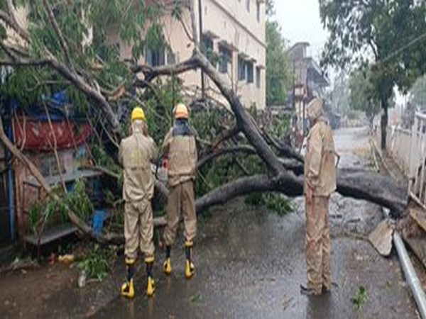 Fire Services Team clearing road blockage near R&B Office Bhadrak, Odisha [Photo/ANI]