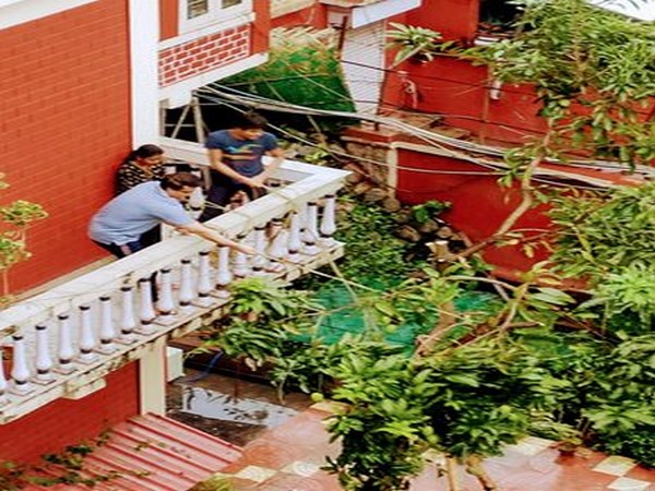 Sourav Ganguly fixing tree in his backyard (Photo/ Sourav Ganguly Twitter)