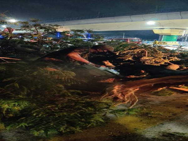 Indian Army helping Kolkata adminsitrationto restore infrastructure in state capital. [Photo/ANI]