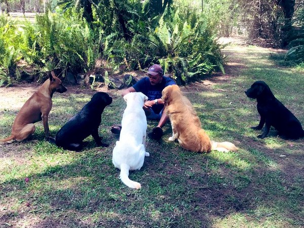 Ravi Shastri with his dogs (Photo/ Ravi Shastri Twitter)