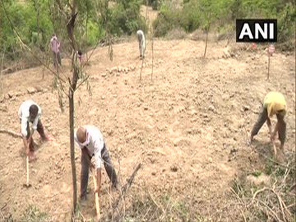 People working on land under MGNREGA in Jammu and Kashmir's Udhampur (Photo/ANI)