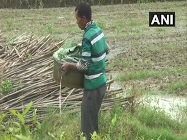 Farmers in Toubul village of Bishnupur district working in a field  [Photo/ANI]