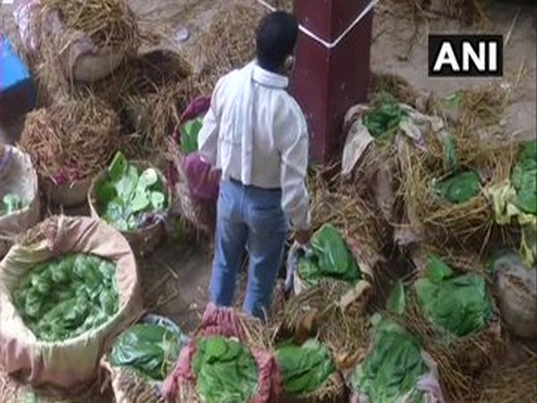 Business of betel leaves resumes in Varanasi. 