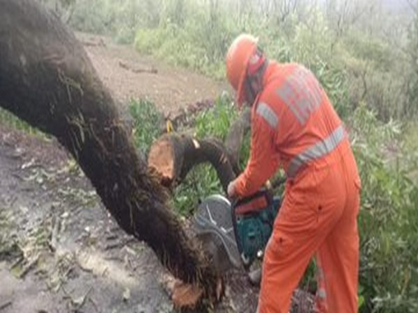 NDRF personnel conducting restoration work at Mandangad in Ratnagiri. [Photo/ANI]