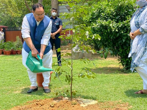 BJP president JP Nadda planted a sapling on Friday.