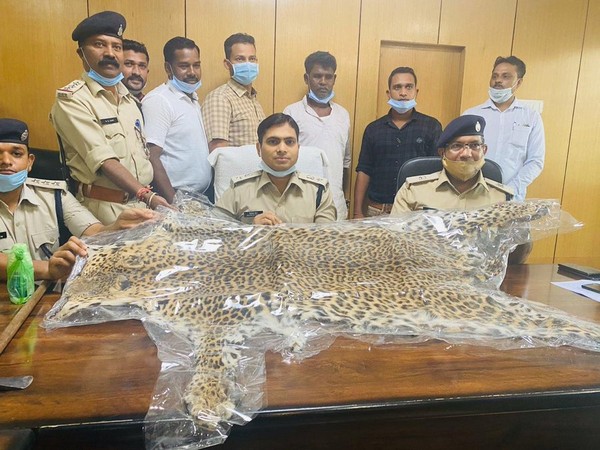 Police arrested a 55-year-old man in possession of leopard skin in Gariyaband district. [Photo/ANI]