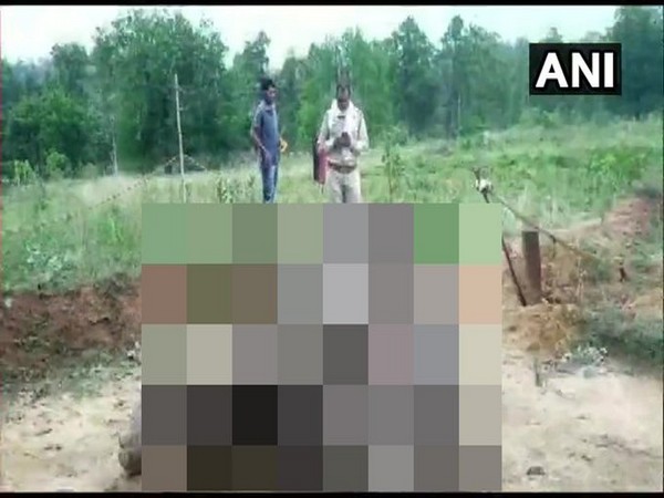 Elephant dies from electrocution in Chhattisgarh. 
