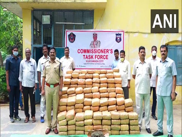 Vijayawada Task Force seized 546 kg of ganja worth Rs 27.3 lakh.