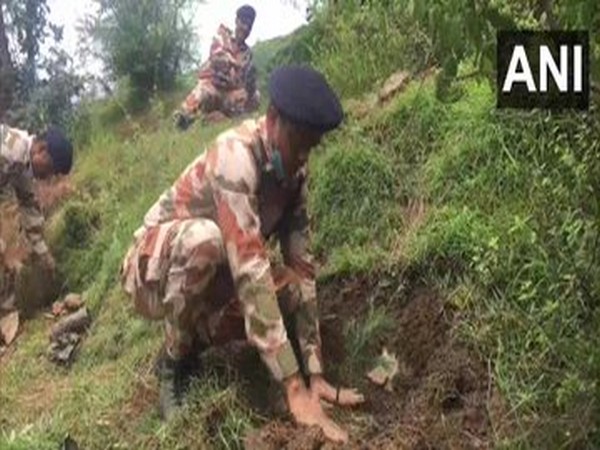 ITBP personnel planting saplings in Shimla district on Sunday. (Photo/ANI)