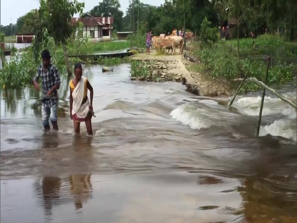 Villages in Dibrugarh were severely affected by the floods caused by rise in water levels of the Brahmaputra river. (Photo/ANI)