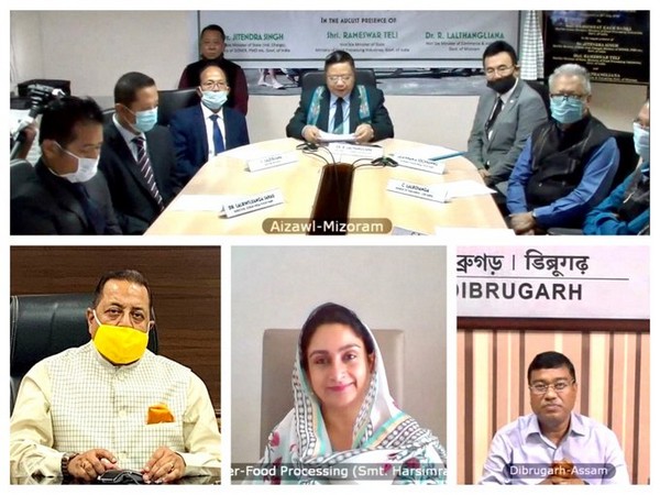 Mizoram's first mega food park was virtually inaugurated by Union Minister Harsimrat Badal on Monday.