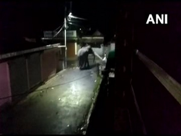 Three elephants strayed into a residential colony in Siliguri from Baikunthupur forest, last night. [Photo/ANI]