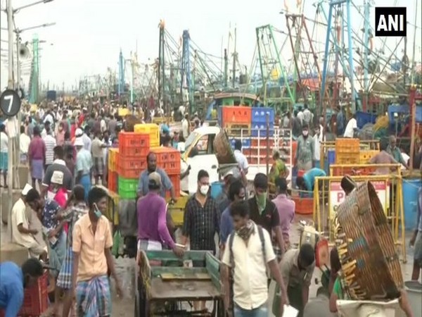 People throng Chennai's Kasimedu Fish Market on Saturday (Photo/ANI)