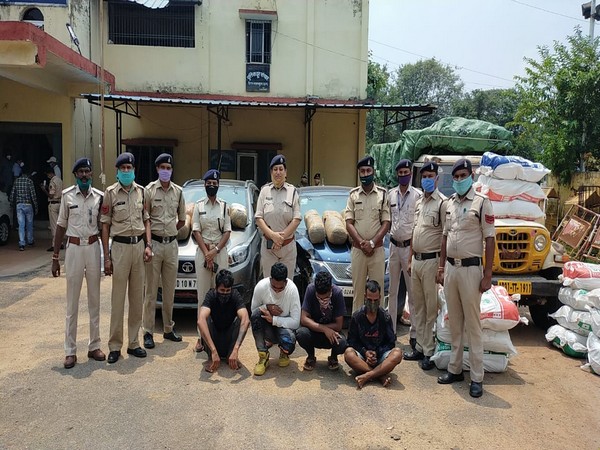 Six people were arrested at Chhattisgarh on Saturday for possession of cannabis. (Photo/ANI)