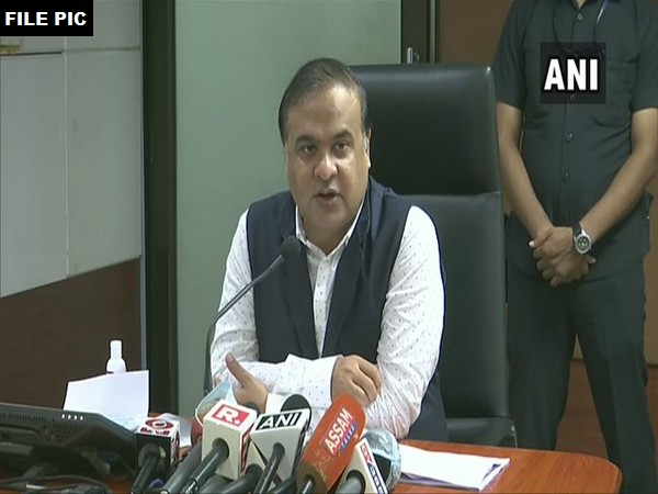Assam Health Minister Himanta Biswa Sarma (File photo)