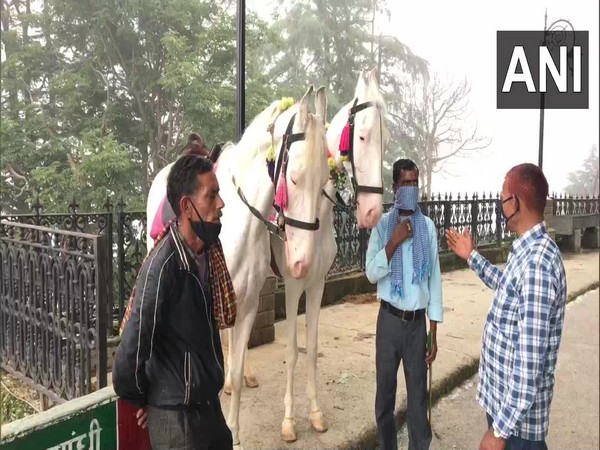 Shimla's 'Ghodewalas'. 