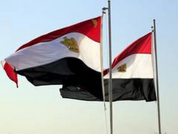 Egyptian Flags