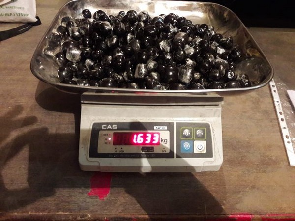  Kullu district Police arrested an Italian national and seized cannabis from his possession (Photo/ANI)