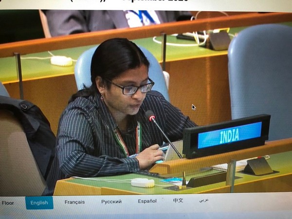 First Secretary India in UN Vidisha Maitra