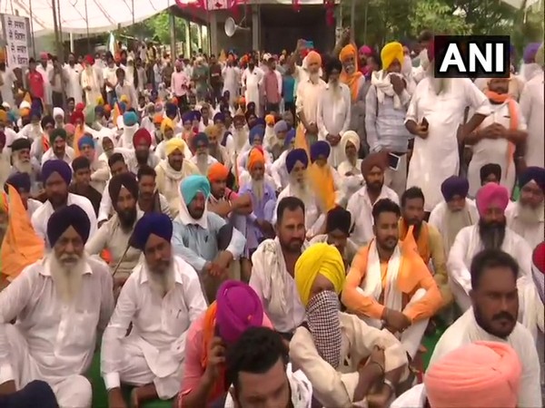 Farmers protesting in Amritsar (Photo/ANI)