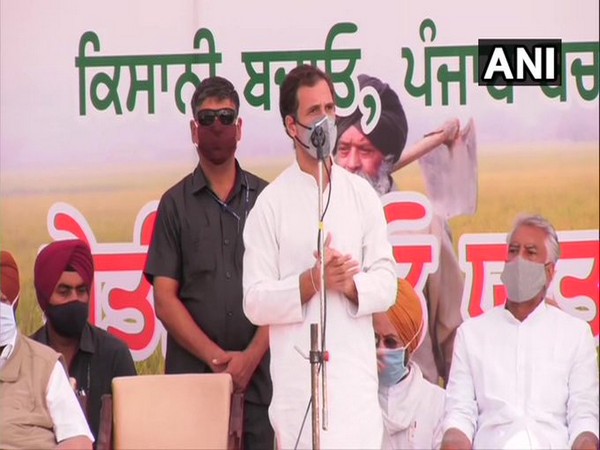 Congress leader Rahul Gandhi in Noorpur, Punjab (Photo/ANI) 