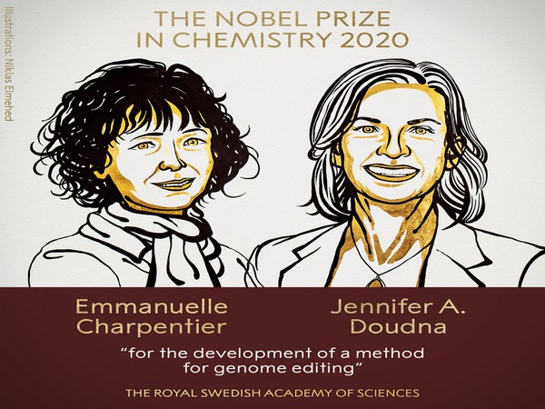 Nobel Prize in Chemistry has been awarded to Emmanuelle Charpentier and Jennifer A. Doudna 