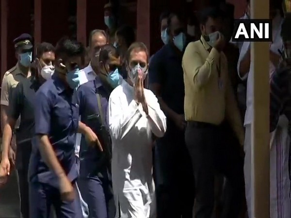 Rahul Gandhi at Malappuram Collectorate (Photo/ANI)