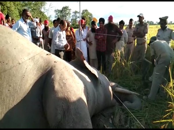 Forest Department officials at the site on Saturday. Photo/ANI