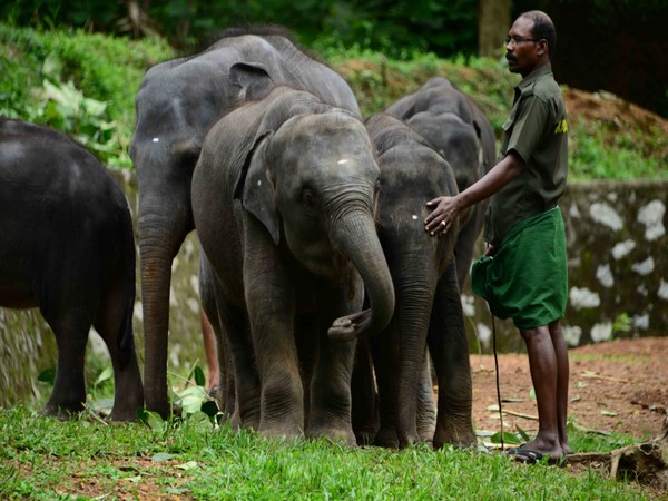 Kottoor elephant rehabilitation centre set to become largest care centre in World (Photo/ANI)