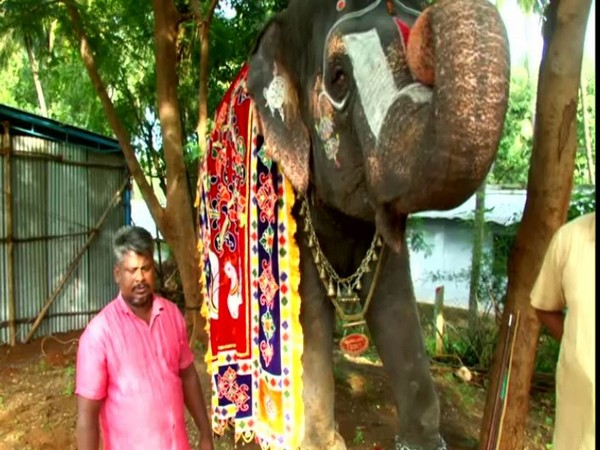 Andal playing mouth organ at the annual rejuvenation camp in Thekkampatti in Tamil Nadu on Tuesday Photo/ANI