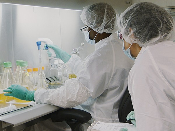 Bamlanivimab and etesevimab are indicated for restricted use in emergency situation.