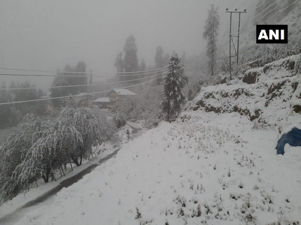 Trees and houses were seen covered in white snow, while locals remained indoors. [Photo/ANI]