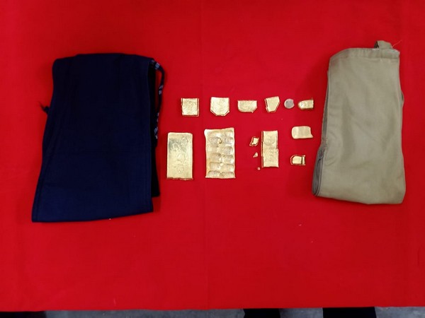 Nearly 2 kgs of gold seized from the two passengers. (Photo/ANI)
