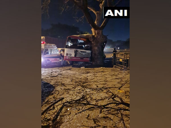 A visual from the crash site. (Photo/ANI)