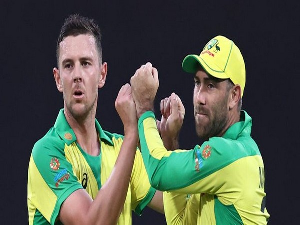 Josh Hazlewood and Glenn Maxwell in action against India in second ODI (Photo/ ICC Twitter)