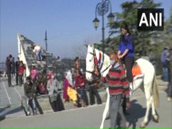Income of horsemen in Shimla affected amid COVID-19 pandemic (Photo/ANI)