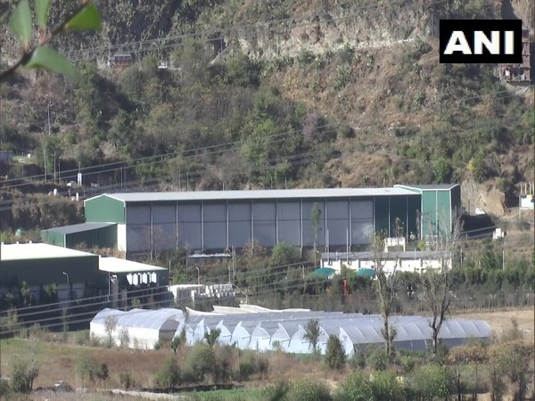 Apple orchards in Himachal Pradesh [Photo/ANI]