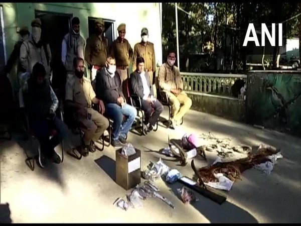 Animal skin, horns and dried meat have been recovered from the poachers. (Photo/ANI)