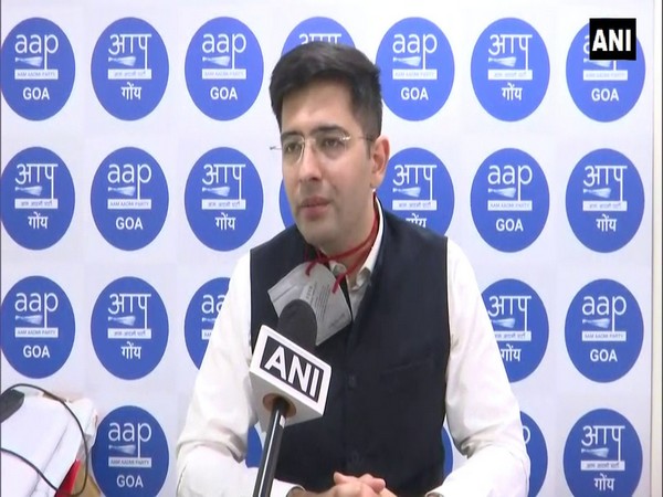 AAP leader Raghav Chadha (Photo/ANI)
