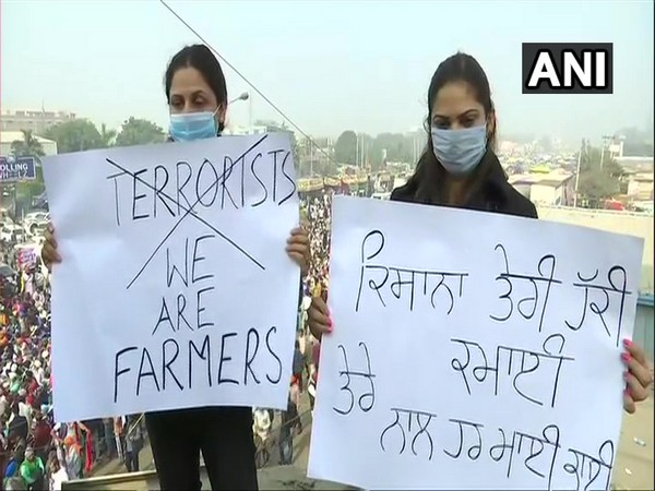 Doctor and Fashion designer (Photo/ANI)