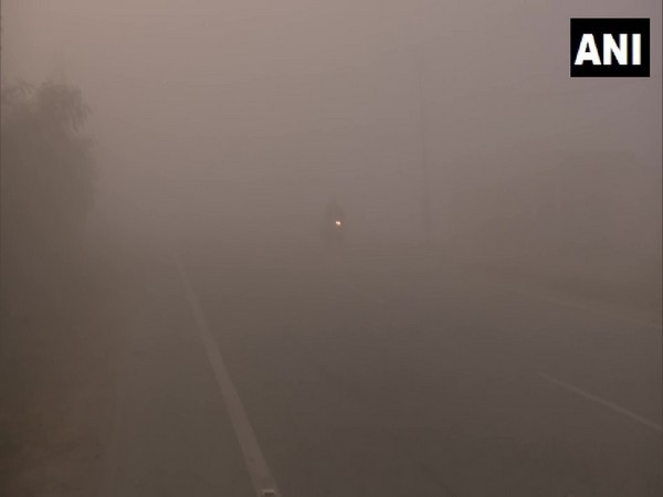 Visuals from Amritsar (Photo/ANI) 