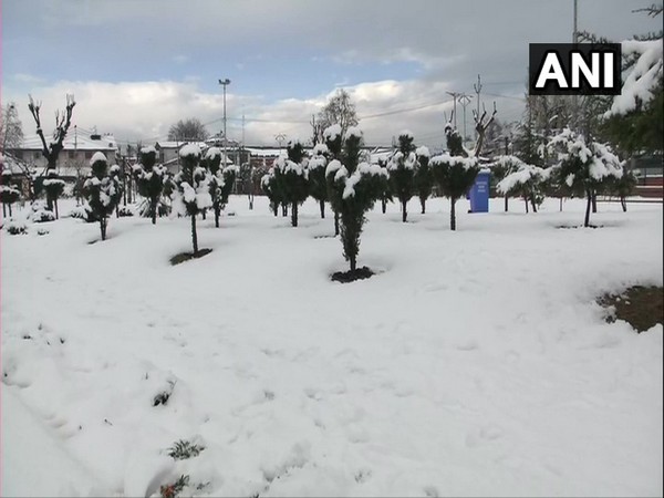 After season's first snowfall in Srinagar on Saturday. (Photo/ANI)